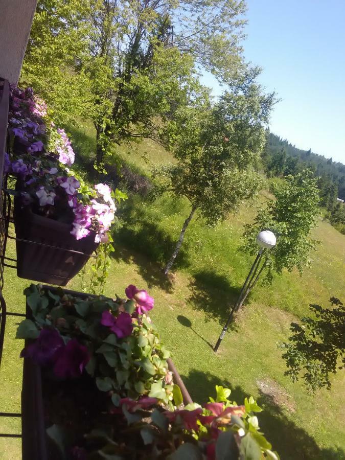 Vila Trtovic Nova Varoš Exterior foto
